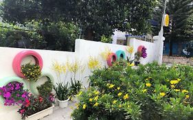 Thu Linh Guesthouse